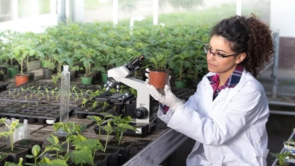 pphytoma encuentro asesores valencia|CARTEL I ENCUENTRO NACIONAL ASESORES (1)